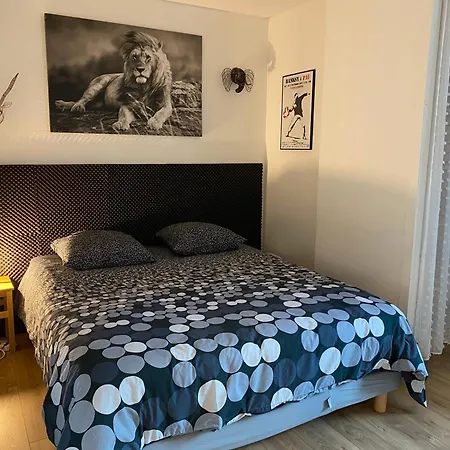 T3 Avec Grande Terrasse Et Parking Pau