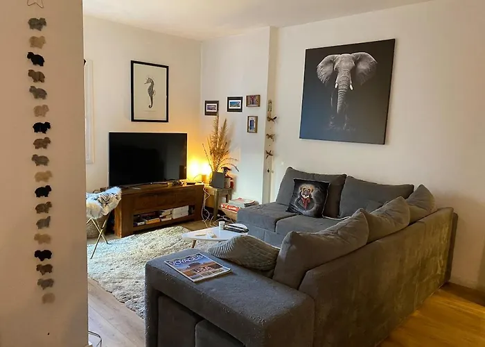 T3 Avec Grande Terrasse Et Parking Lejlighed Pau