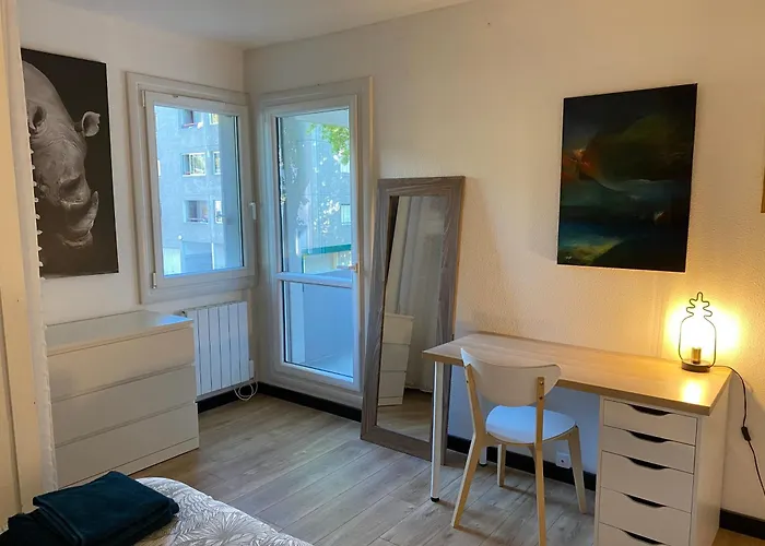 T3 Avec Grande Terrasse Et Parking Lejlighed Pau