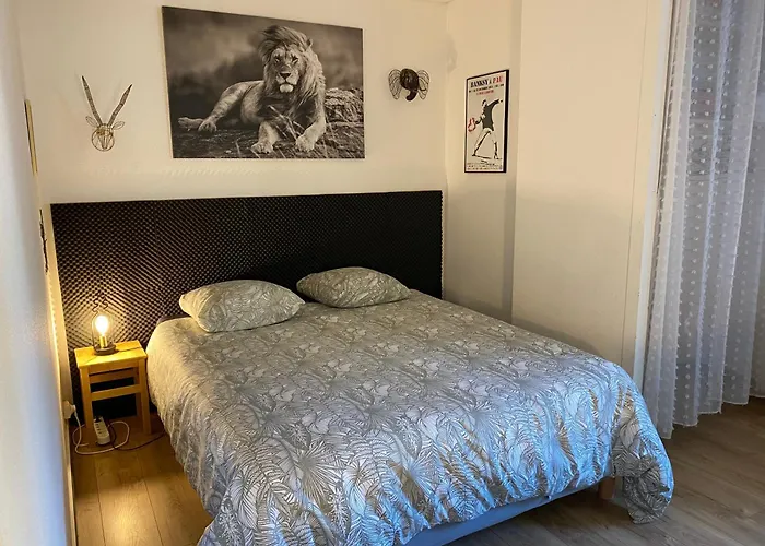 Lejlighed T3 Avec Grande Terrasse Et Parking