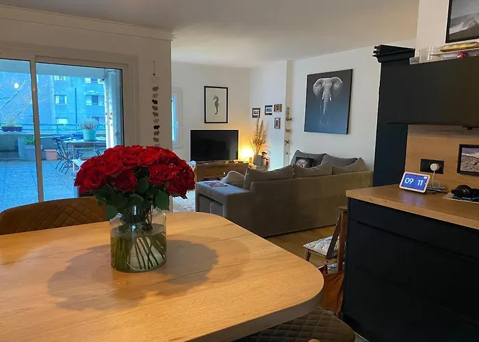 Lejlighed T3 Avec Grande Terrasse Et Parking *