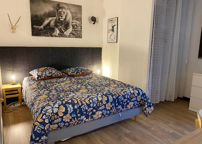 Lejlighed T3 Avec Grande Terrasse Et Parking Pau