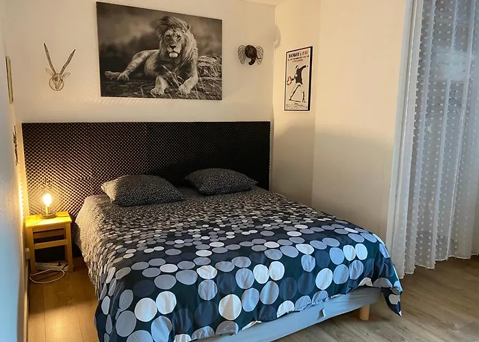 T3 Avec Grande Terrasse Et Parking Pau